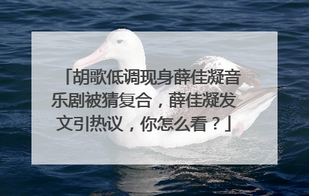 胡歌低调现身薛佳凝音乐剧被猜复合,薛佳凝发文引热议,你怎么看?