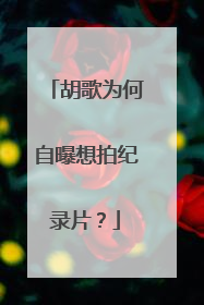 胡歌为何自曝想拍纪录片?