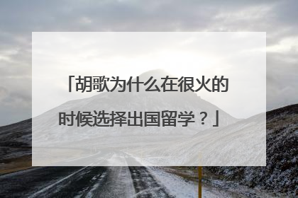 胡歌为什么在很火的时候选择出国留学？