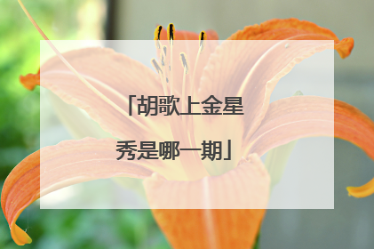 胡歌上金星秀是哪一期