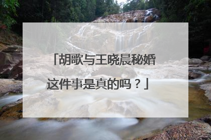 胡歌与王晓晨秘婚这件事是真的吗？