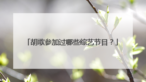 胡歌参加过哪些综艺节目？