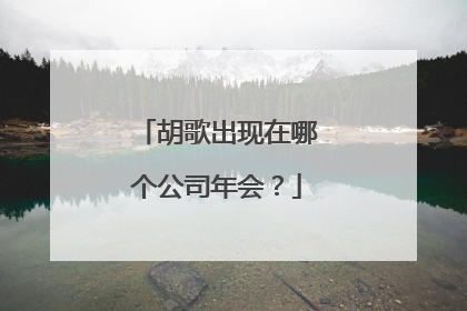 胡歌出现在哪个公司年会?