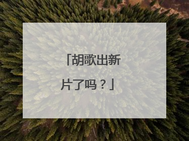 胡歌出新片了吗?