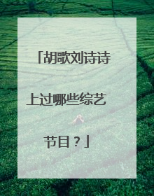 胡歌刘诗诗上过哪些综艺节目?