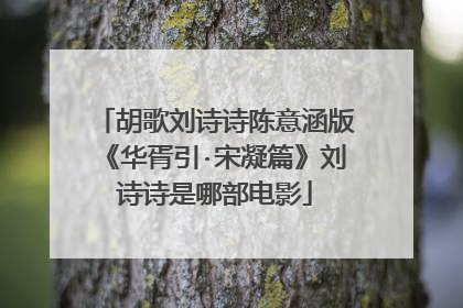 胡歌刘诗诗陈意涵版《华胥引·宋凝篇》刘诗诗是哪部电影
