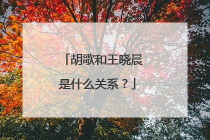 胡歌和王晓晨是什么关系？