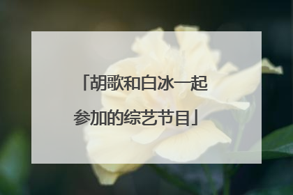 胡歌和白冰一起参加的综艺节目