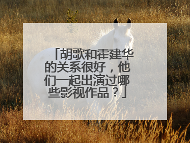 胡歌和霍建华的关系很好，他们一起出演过哪些影视作品？