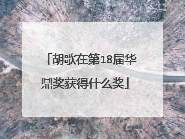 胡歌在第18届华鼎奖获得什么奖