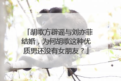 胡歌方辟谣与刘亦菲结婚,为何胡歌这种优质男还没有女朋友?