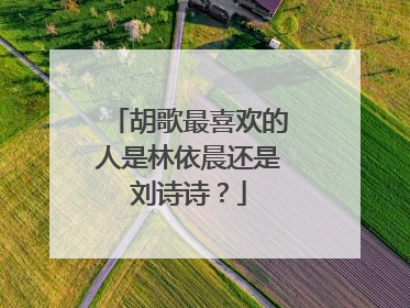 胡歌最喜欢的人是林依晨还是刘诗诗？