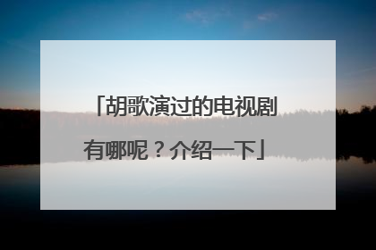 胡歌演过的电视剧有哪呢？介绍一下