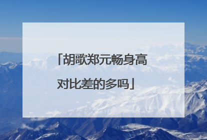 胡歌郑元畅身高对比差的多吗
