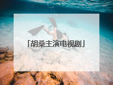 胡桑主演电视剧