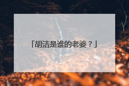胡洁是谁的老婆？