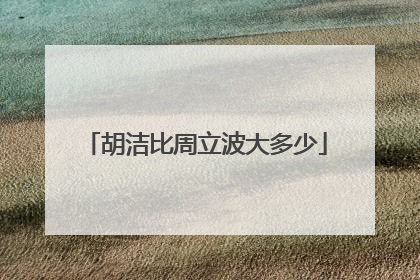 胡洁比周立波大多少