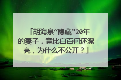 胡海泉“隐藏”20年的妻子,竟比白百何还漂亮,为什么不公开?