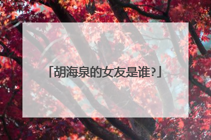 胡海泉的女友是谁?