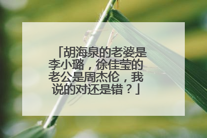 胡海泉的老婆是李小璐,徐佳莹的老公是周杰伦,我说的对还是错?