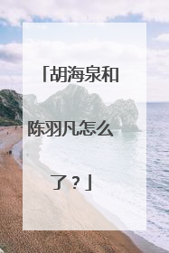 胡海泉和陈羽凡怎么了?