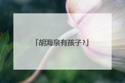 胡海泉有孩子?