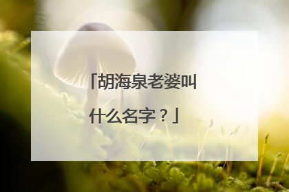 胡海泉老婆叫什么名字?