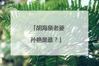 胡海泉老婆孙艳是谁？