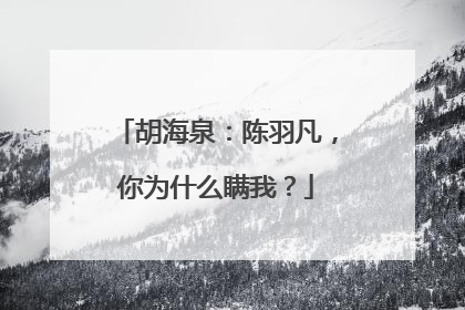 胡海泉：陈羽凡，你为什么瞒我？