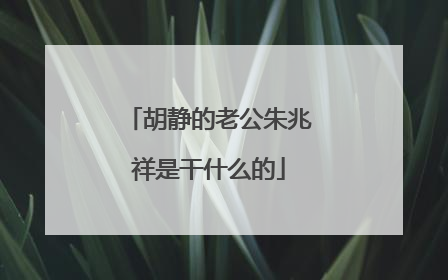 胡静的老公朱兆祥是干什么的