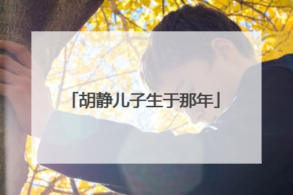 胡静儿子生于那年