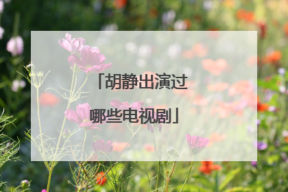 胡静出演过哪些电视剧