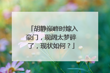 胡静巅峰时嫁入豪门,现阔太梦碎了,现状如何?