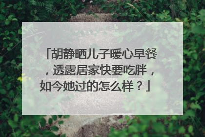 胡静晒儿子暖心早餐,透露居家快要吃胖,如今她过的怎么样?