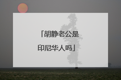 胡静老公是印尼华人吗