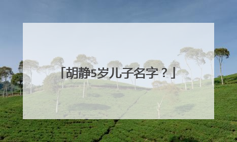 胡静5岁儿子名字?