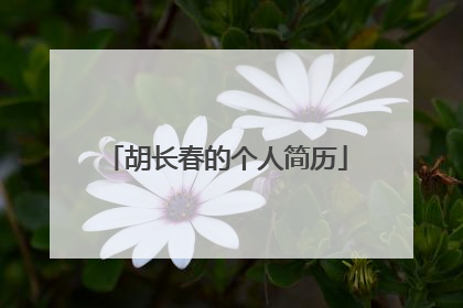 胡长春的个人简历