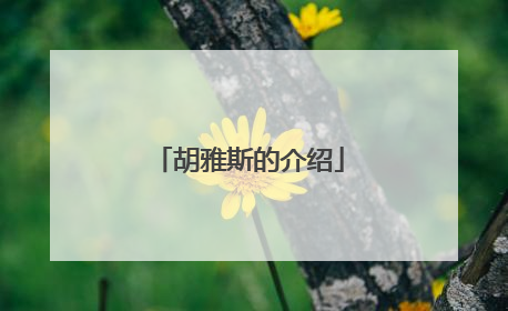 胡雅斯的介绍