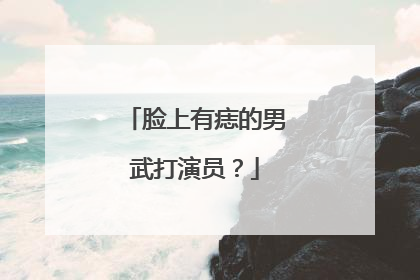 脸上有痣的男武打演员?