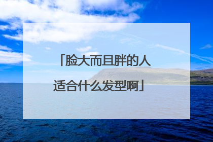 脸大而且胖的人适合什么发型啊