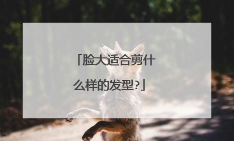 脸大适合剪什么样的发型?