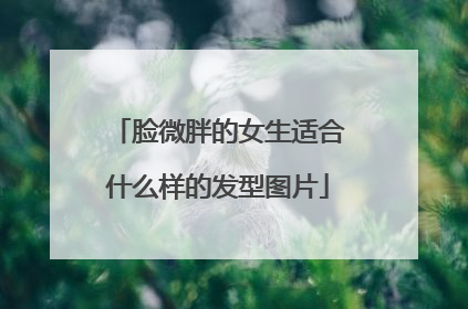 脸微胖的女生适合什么样的发型图片