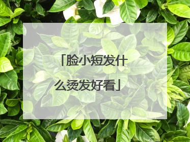 脸小短发什么烫发好看