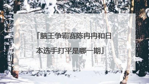 脑王争霸赛陈冉冉和日本选手打平是哪一期