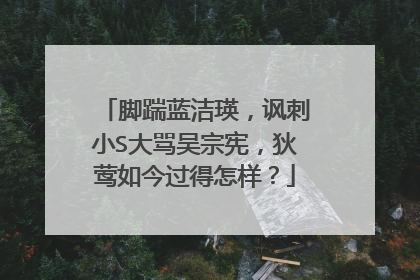 脚踹蓝洁瑛，讽刺小S大骂吴宗宪，狄莺如今过得怎样？