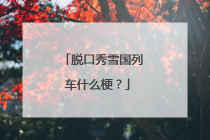 脱口秀雪国列车什么梗？