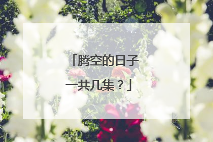 腾空的日子一共几集?