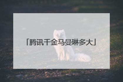 腾讯千金马曼琳多大