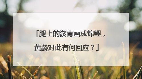 腿上的淤青画成锦鲤，黄龄对此有何回应？