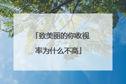 致美丽的你收视率为什么不高